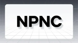 Read more about the article What Does NPNC Mean? Full Slang Definition Explained (2026)