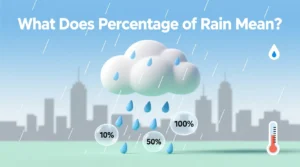 Read more about the article What Does Percentage of Rain Mean? A Complete Explanation