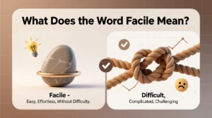 Read more about the article What Does Facile Mean? Complete Definition For 2026